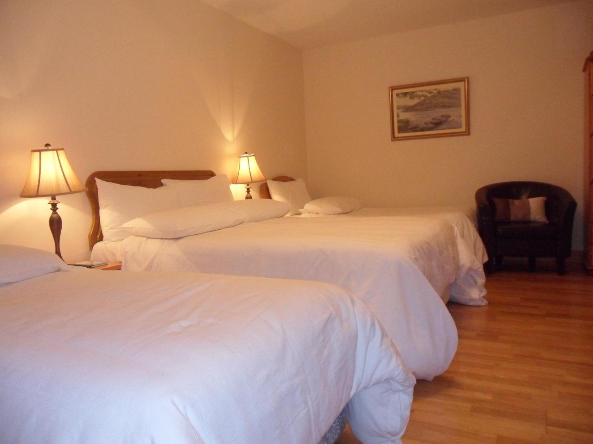 Forest Park House B&B Boyle Zewnętrze zdjęcie