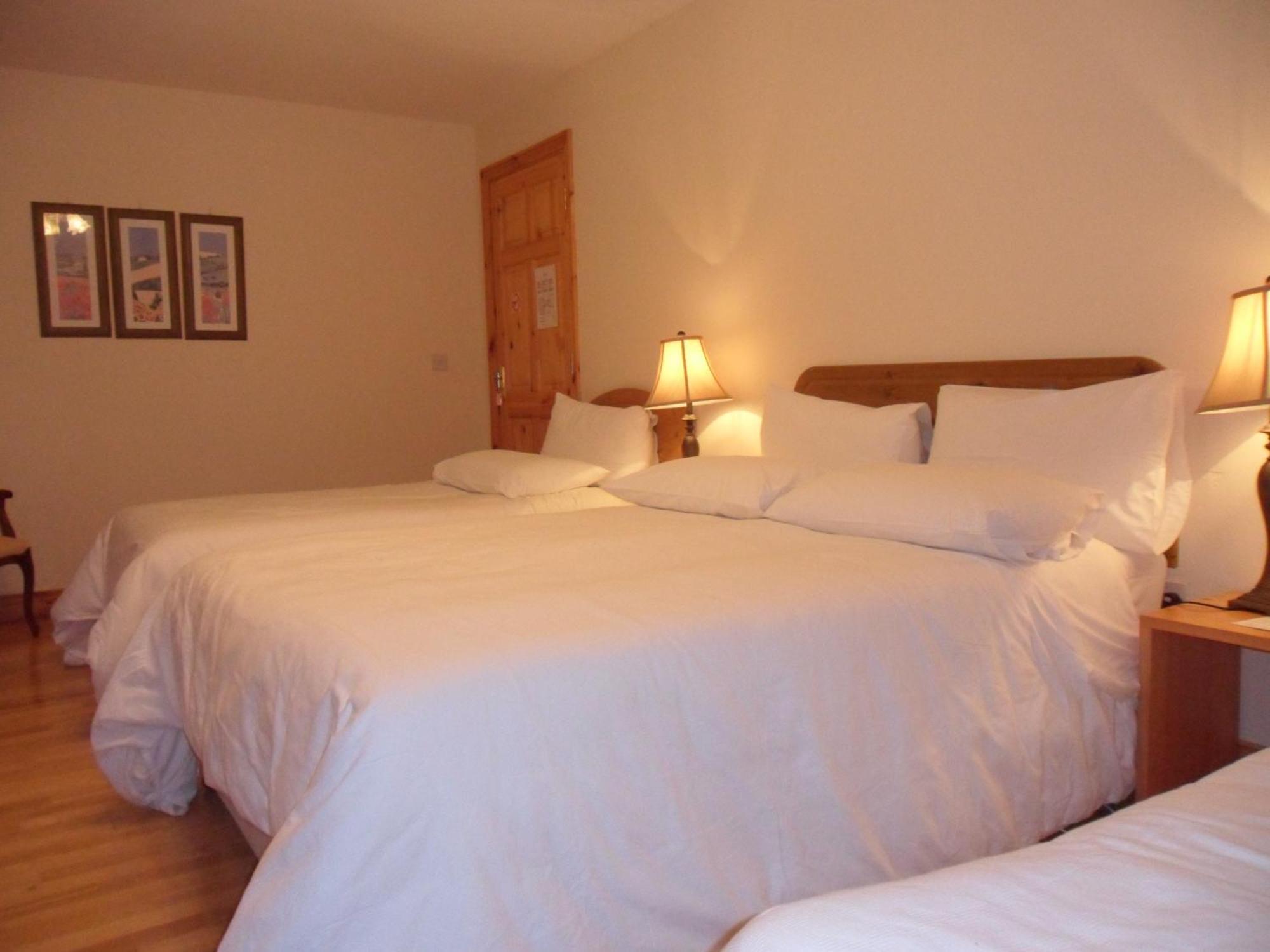 Forest Park House B&B Boyle Zewnętrze zdjęcie